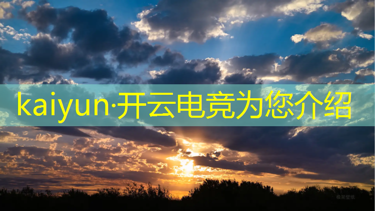 开云电竞为您介绍：王者荣耀电竞赛事logo