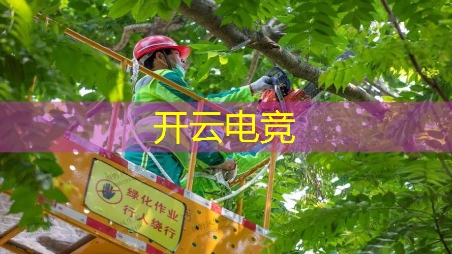 kaiyun·电竞：宝可梦3d游戏第一部