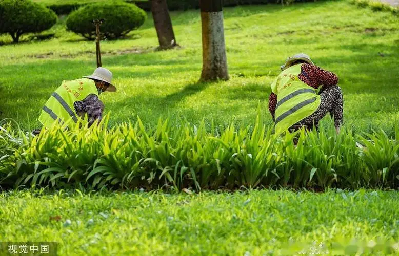 葫芦七兄弟3d游戏