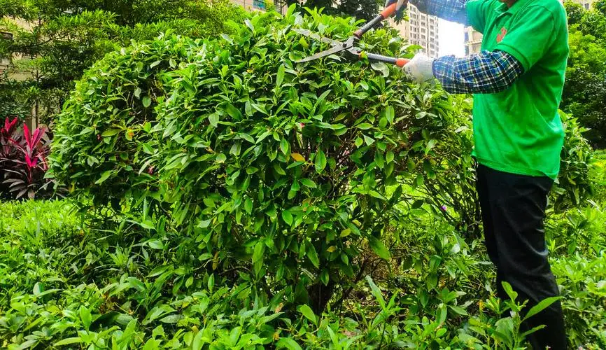 kaiyun·电竞：最强青年电竞大赛的历届冠军名单及成绩回顾。