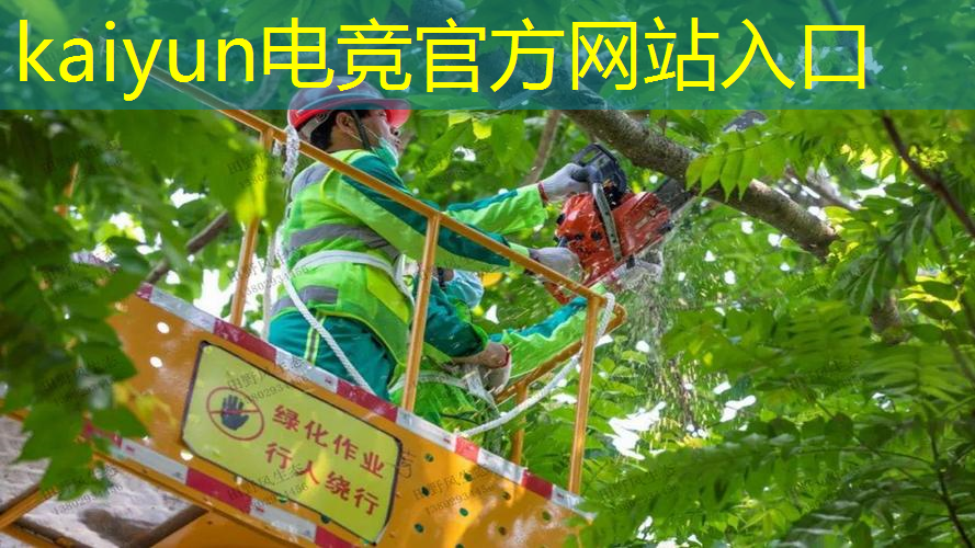 kaiyun电竞官方网站入口：土豪模拟器3d游戏大全