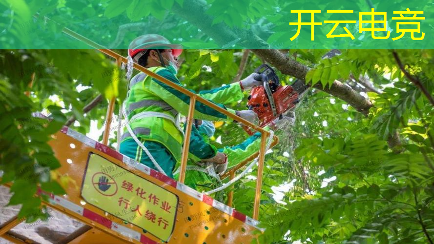 原画最美的游戏