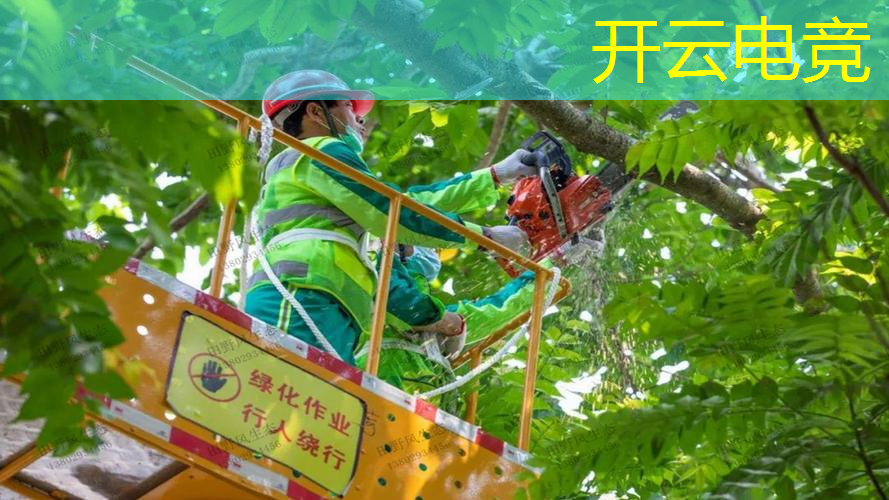 kaiyun电竞平台：一个团队需要几个游戏策划