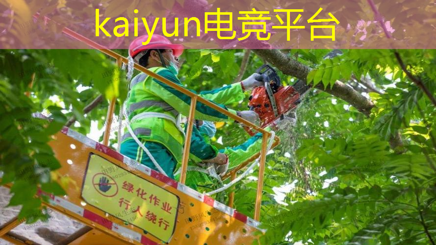 游戏原画师用什么板绘软件