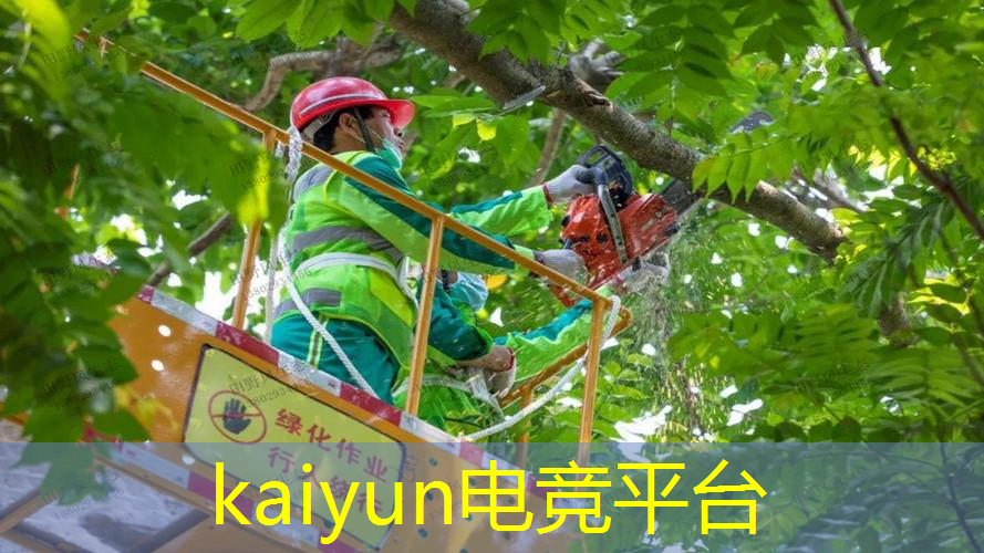 kaiyun电竞平台：最恐怖游戏小程序推荐知乎