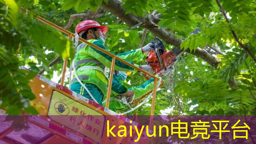 宝可梦3d游戏第一部