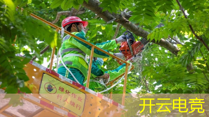 土豪模拟器3d游戏大全