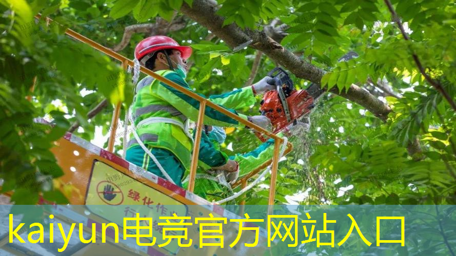 原画最美的游戏