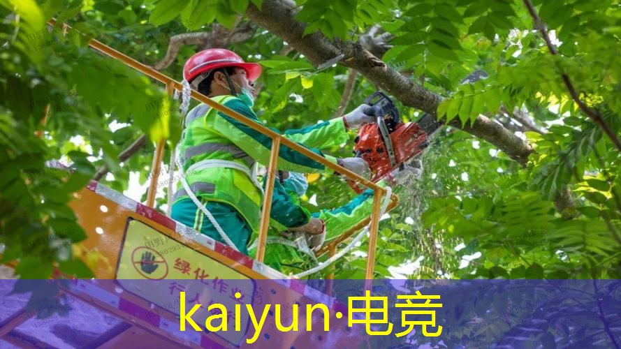 一个团队需要几个游戏策划