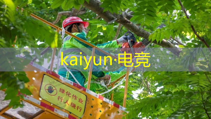 游戏原画师用什么板绘软件
