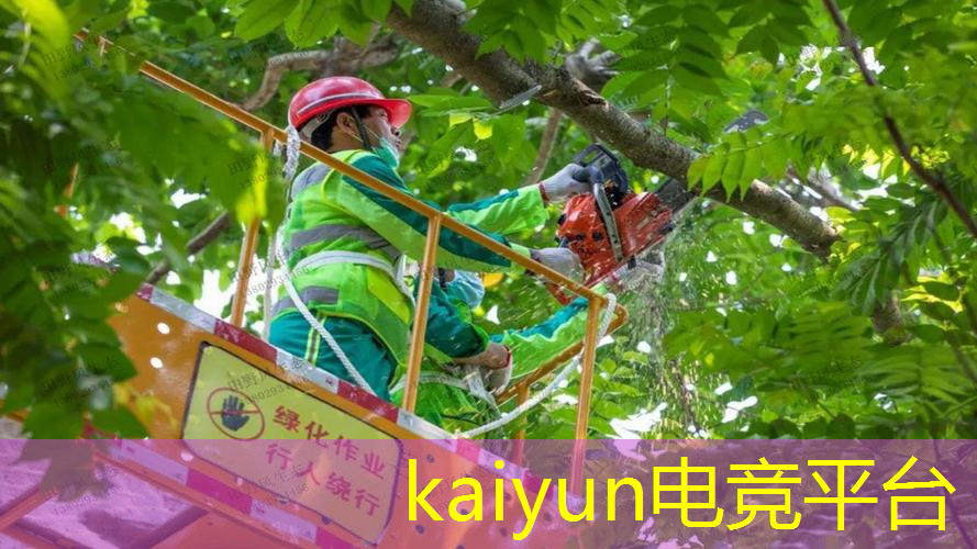 游戏动画和3d动作有什么区别