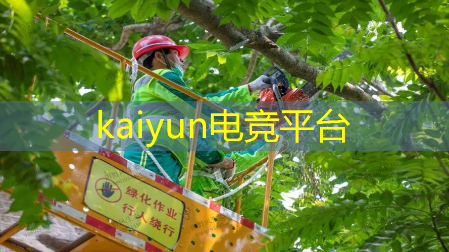 做lpl职业电竞选手的条件