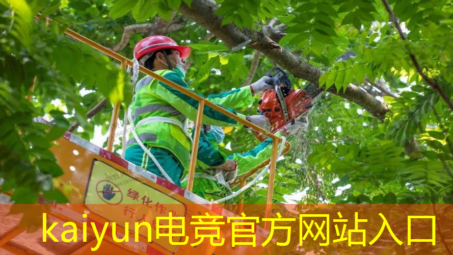 王者游戏3d动漫在线观看